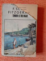 Tender is the night