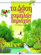 Τα δάση των χαμηλών περιοχών