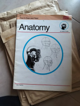 How to Draw and Paint Anatomy