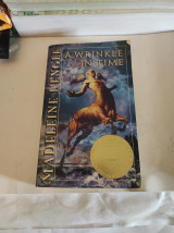 A Wrinkle in Time