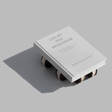 Luxury and Modernism (Germany 1900-1930)