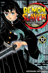 Demon Slayer: Kimetsu no Yaiba, Vol. 12