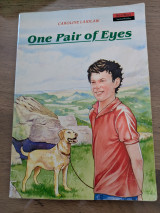 One Pair of Eyes