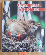 Quand l'oiseau fait son nid