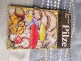 Pilze