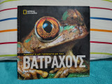 Πρόσωπο με πρόσωπο με τους Βατράχους