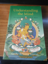 Understanding the Mind