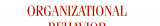 Organizational Behavior