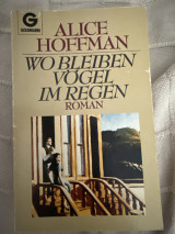 Wo bleiben Vögel im Regen