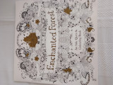 Enchanted Forest, An inky quest and colouring book!