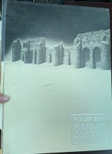 Pleasure Of Ruins