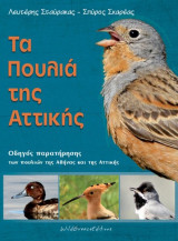 Τα πουλιά της Αττικής