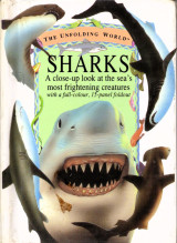 Sharks