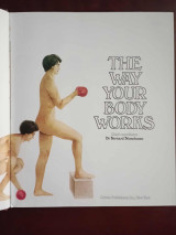 The way your body works
