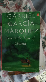 Love in the Time of Cholera