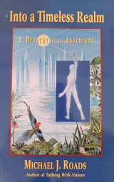 Into a Timeless Realm: A Metaphysical Adventure