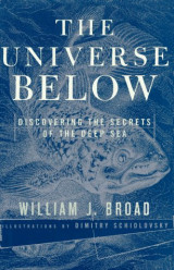 The Universe Below