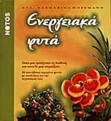 Ενεργειακά φυτά