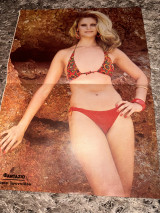 Αφίσα «Φαντάζιο»