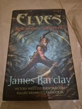 Elves rise of the taigethen