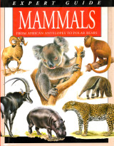 Mammals