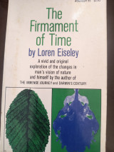 The firmament of time