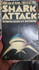 Shark attack