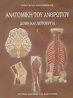 Ανατομία του ανθρώπου