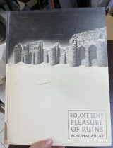 Pleasure of ruins