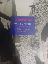 The simple past