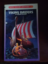Viking Raiders