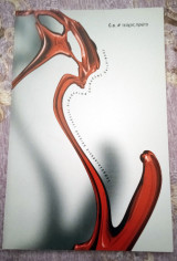 Creative Orgasm Fanzine #1
