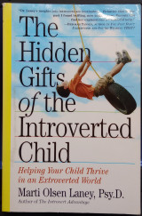 The Hidden Gifts of the Introverted Child