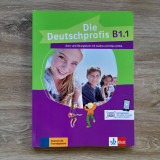Die Deutschprofis