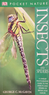 Insects and Spiders - Pocket Nature