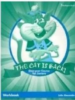 the Cat Is Back Junior A & B (One Year) Teacher' s Book Workbook
