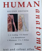 Human Anatomy