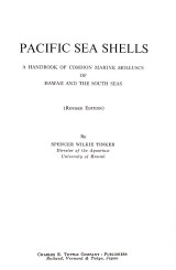 Pacific Sea Shells