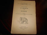 Η Γεωλογια της Ελλαδος