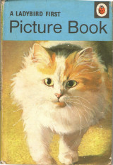 A Ladybird First Picture Book