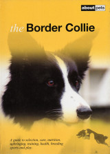The Border Collie
