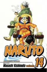 Naruto, Vol. 14 v. 14
