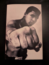 Ali a life